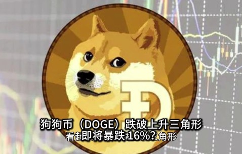 九游体育-狗狗币创下年内新高，上扬幅高达XRP%，还能追吗？